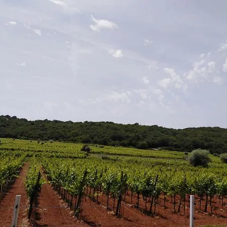 Appartamento Sv. Marak