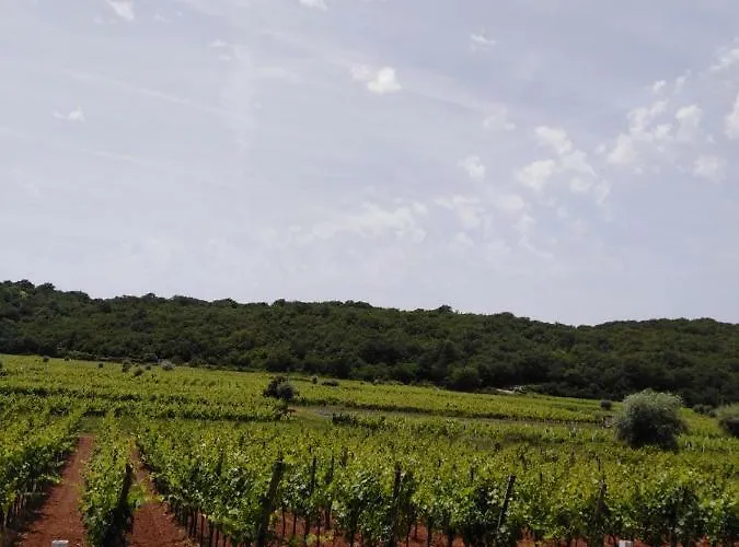 アパート Sv. Marak